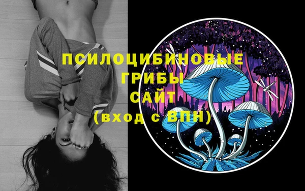 скорость Балахна